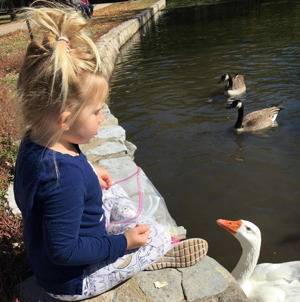 Meet your Posher, Jari